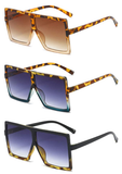 BB set of d3 sunglasses